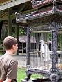2007 07 17 BALI 0069
